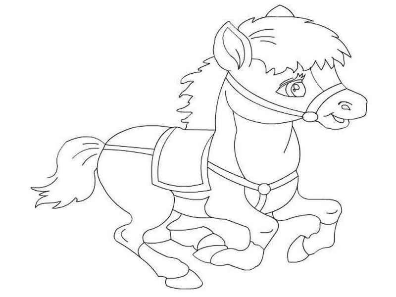 Маленькая пони