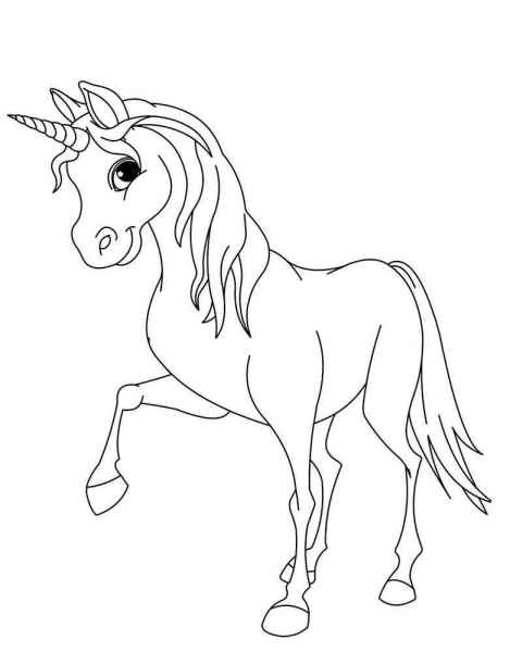 Лошадь пони