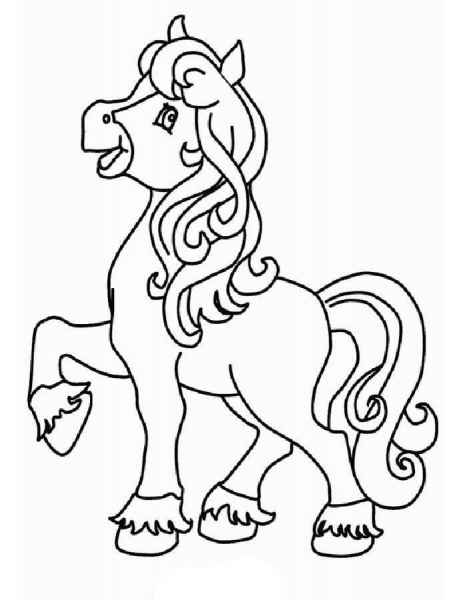 Кучерявая пони