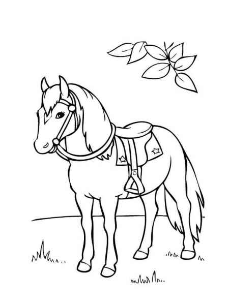 Взрослая пони