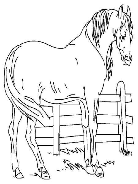 Лошадь карандашом