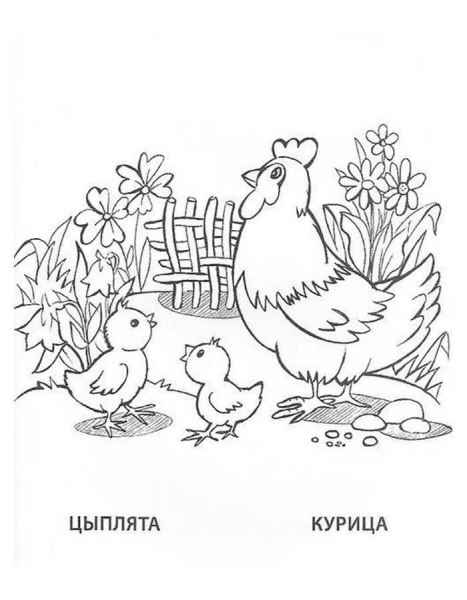 Курица и цыплята