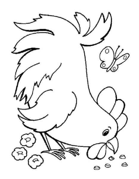 Курица кушает