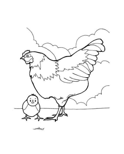 Курица и цыпленок