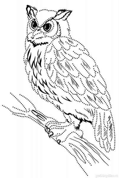 Сова дорисовать