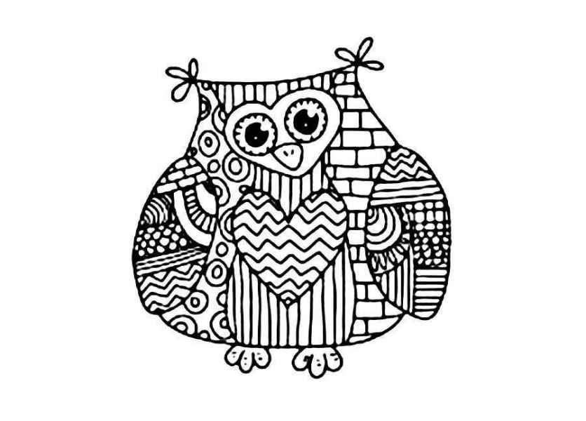 Сложная сова