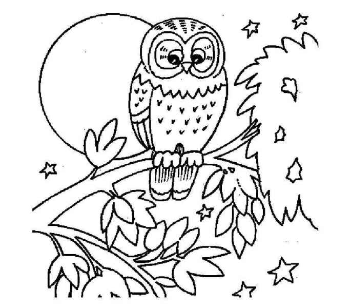 Сова при уне