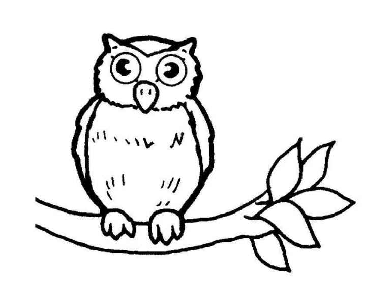 Сова на дереве