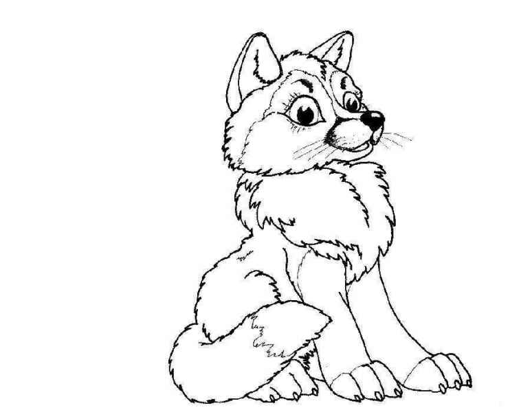 Волчонок девочка