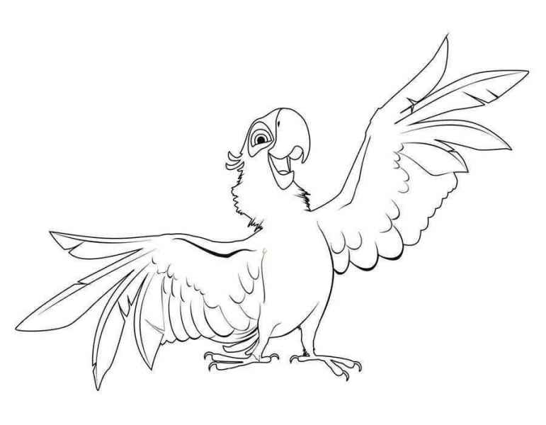 Попугай поет