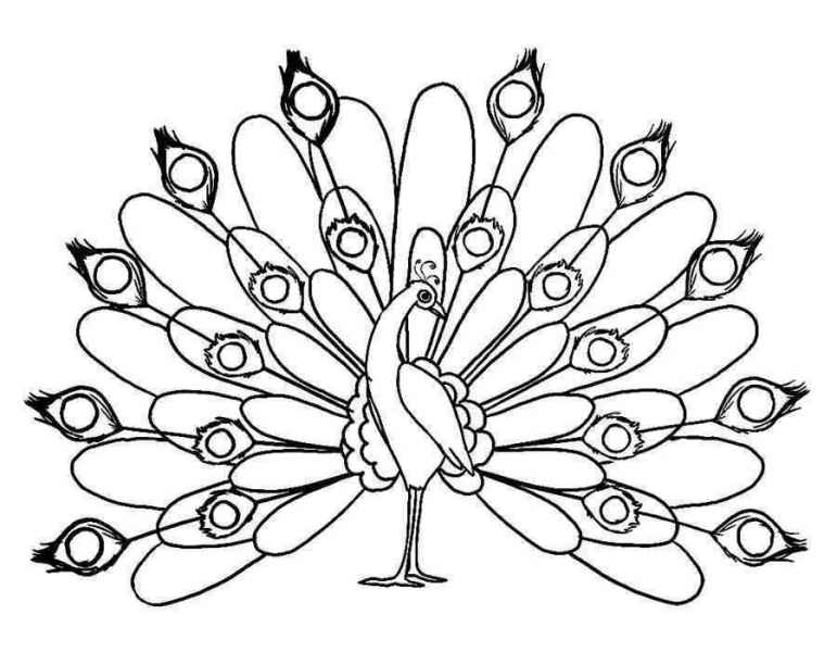 Птица Павлин