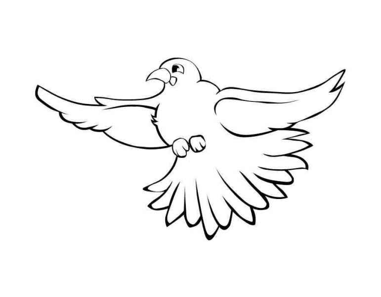 Птица голубь