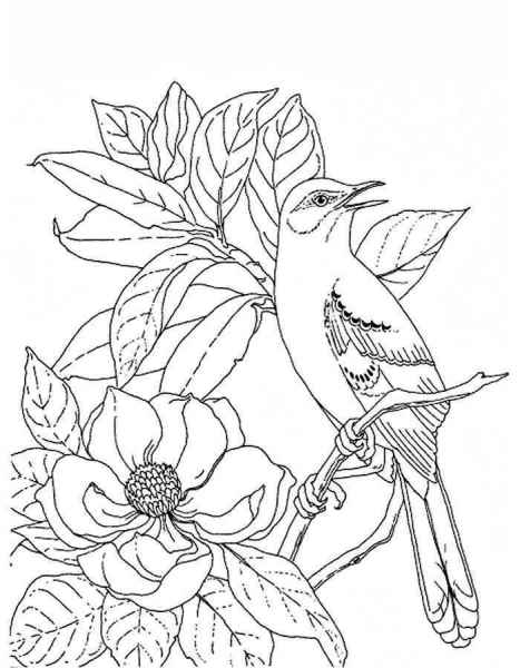 Птица на цветке