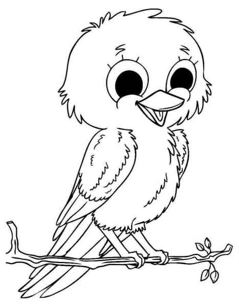 Птенец на ветке