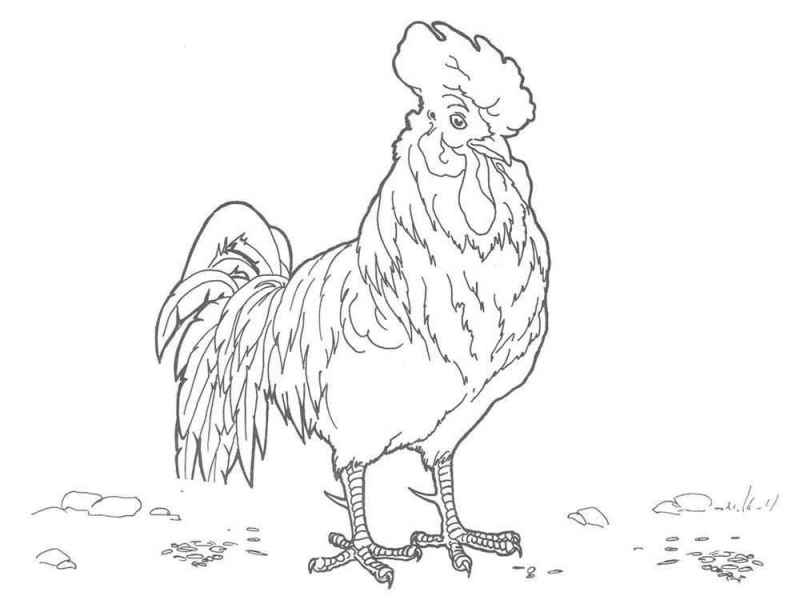 Петушок на траве