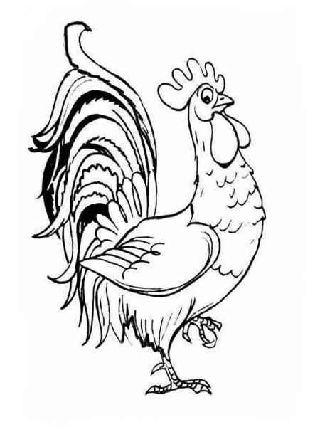 Довольный петух