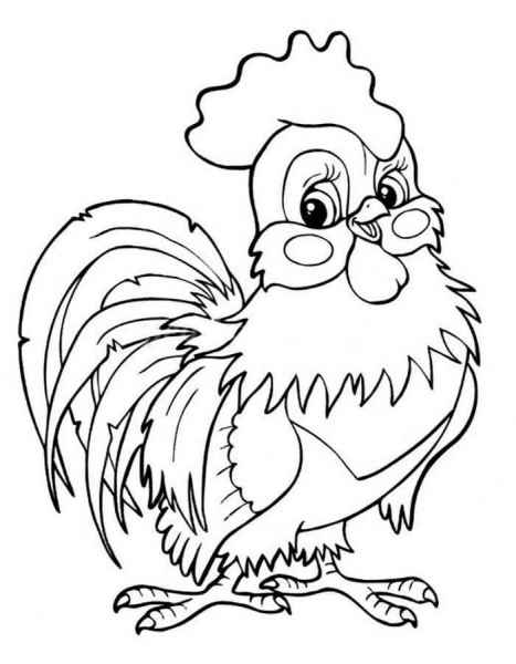 Птенец петушок