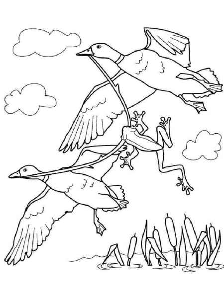 Лягушка с птицами