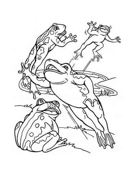 Четыре лягушки