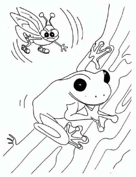 Лягушка и муха