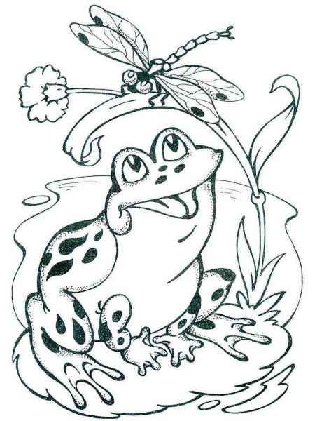 Лягушка и муха