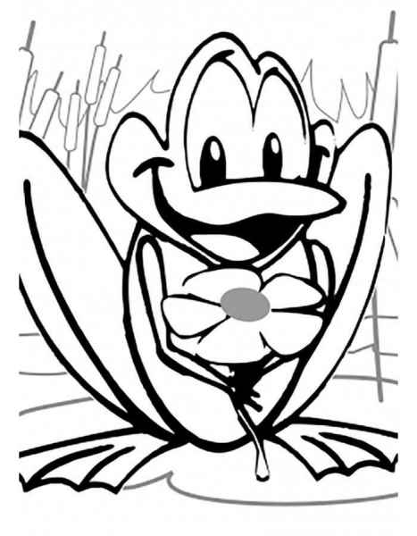 Лягушка и цветок