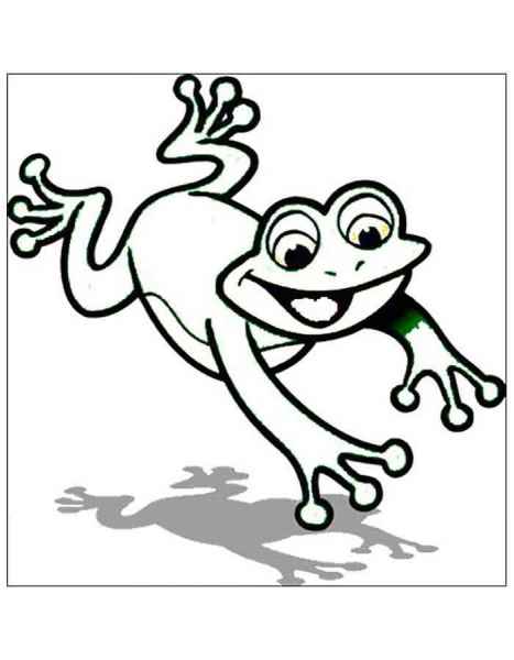 Лягушка в прыжке