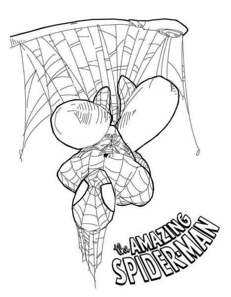 Удивительный человек паук