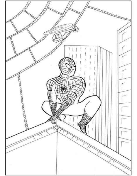 Человек паук на крыше