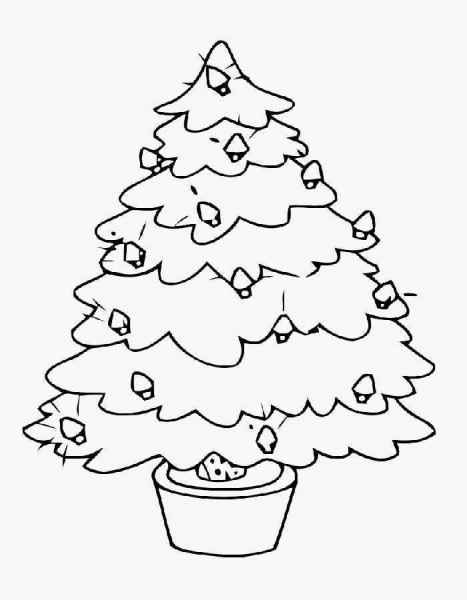 Елка в горшке