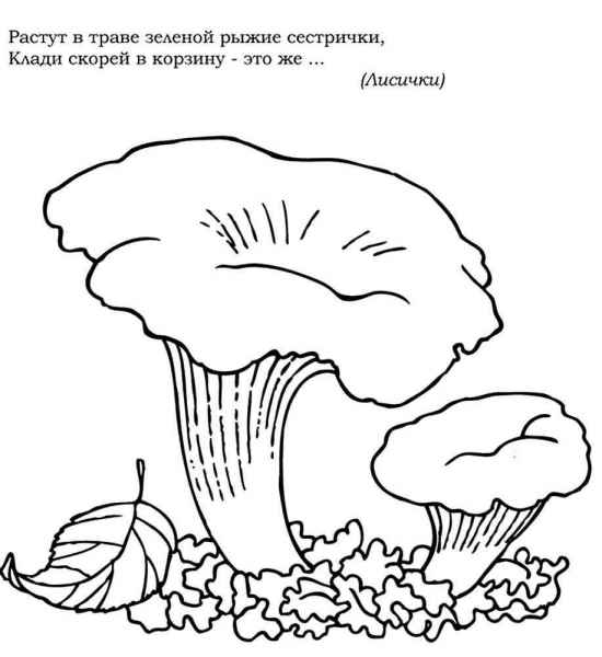 Грибы лисички в листве