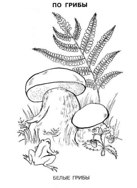 Лягушка и большие грибы