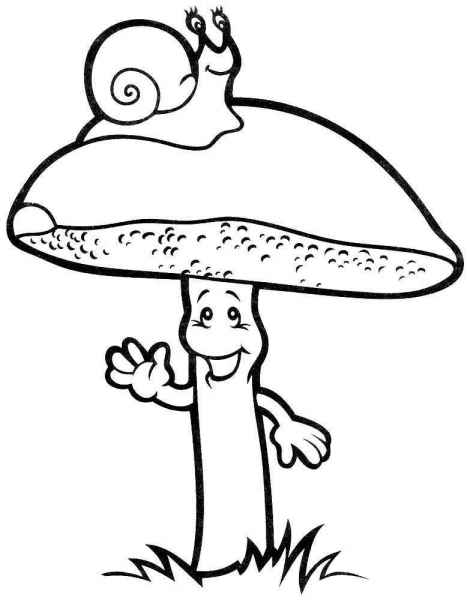 Улитка на грибке