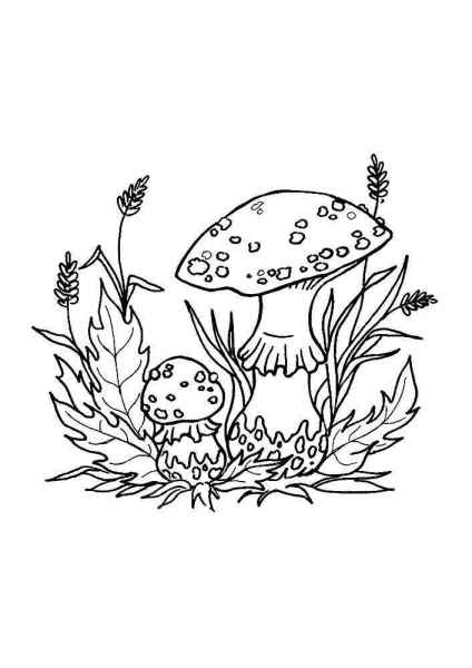 Грибы в траве