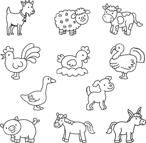 Домашние животные 