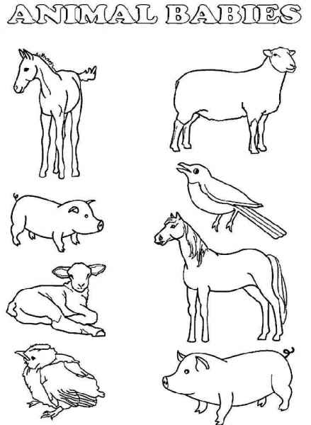 Домашний скот