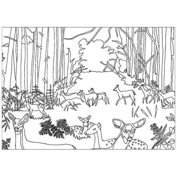 Животные в лесу