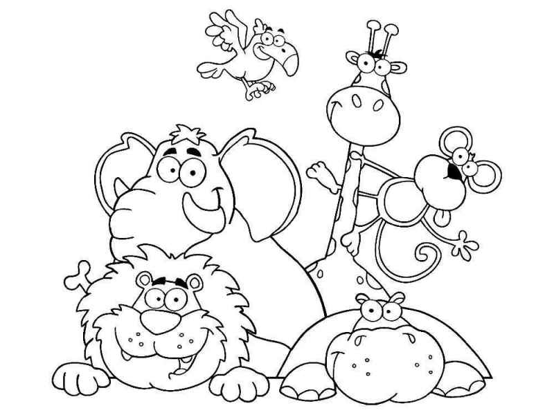 Лев,бегемот, слон, жираф, обезьяна и тукан