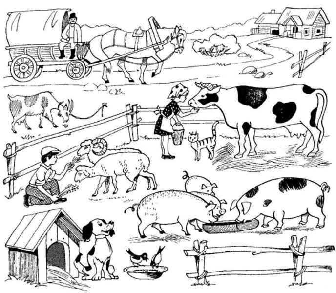 Животные в хозяйстве