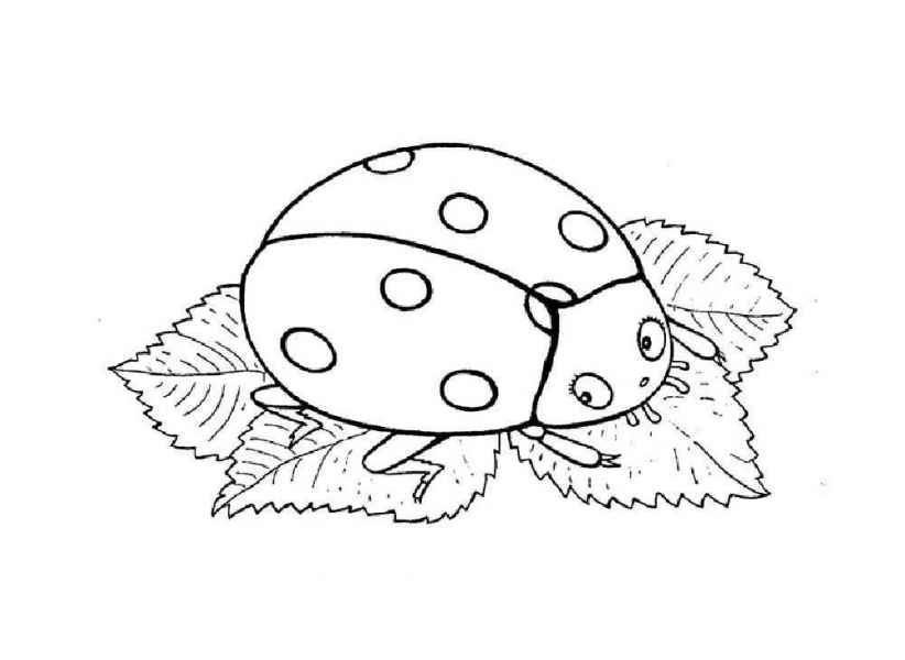Божья коровка на листике