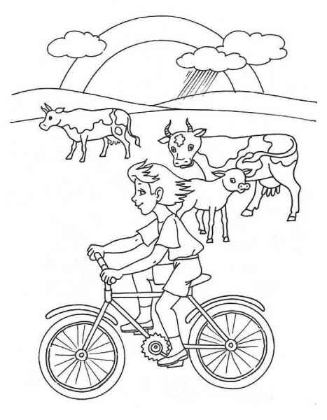 Мальчик едет на велосипеде с коровами на лугу