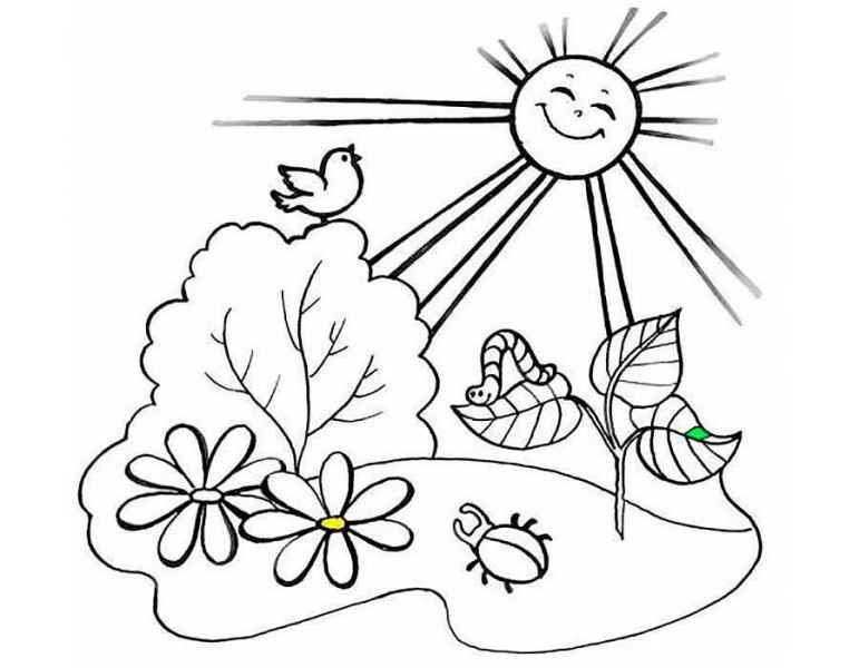 Солнце светит на птиц и насекомых