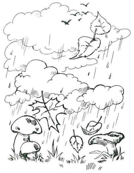 Осенний дождь в лесу