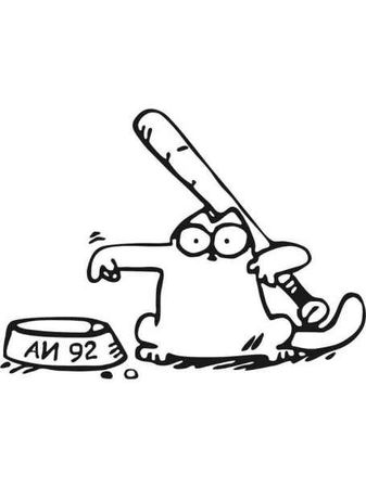 Котик требует корм