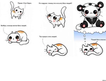 Мысли котика