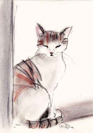 Грустный котик