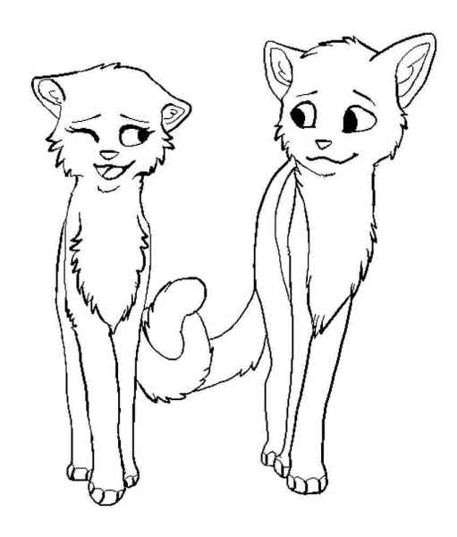 Милые котики