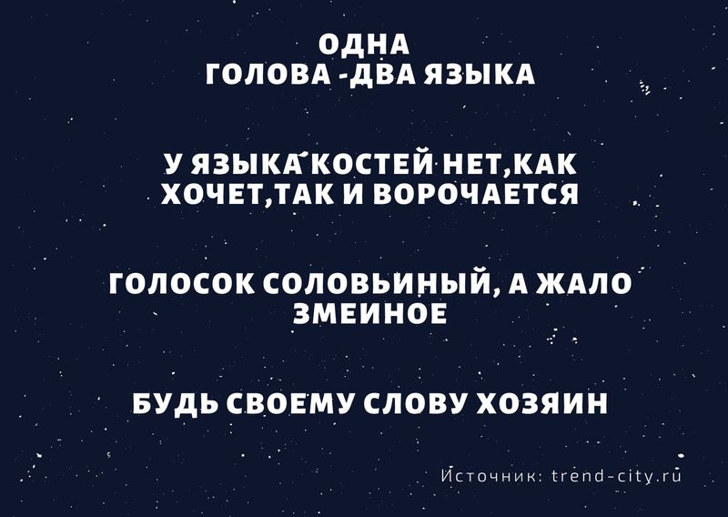 Пословицы о русском языке 11