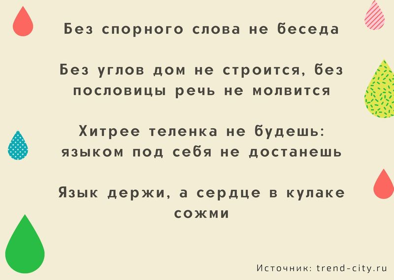 Пословицы о русском языке 7