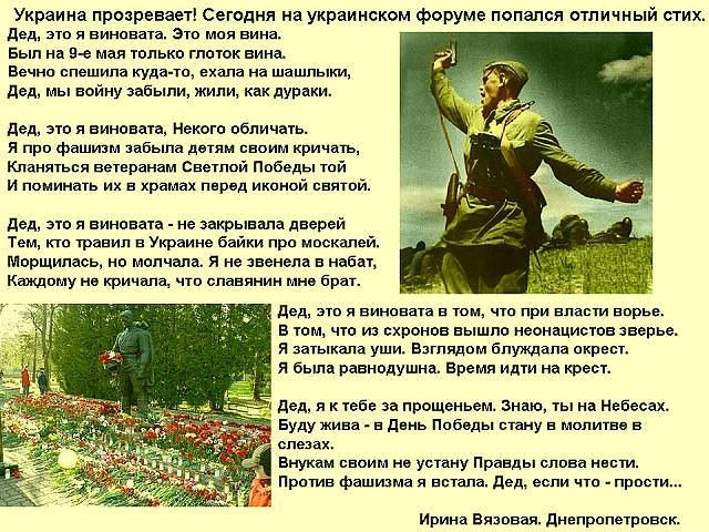 SVO (5)